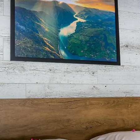 Splav-apartman Grizzly Gaocici