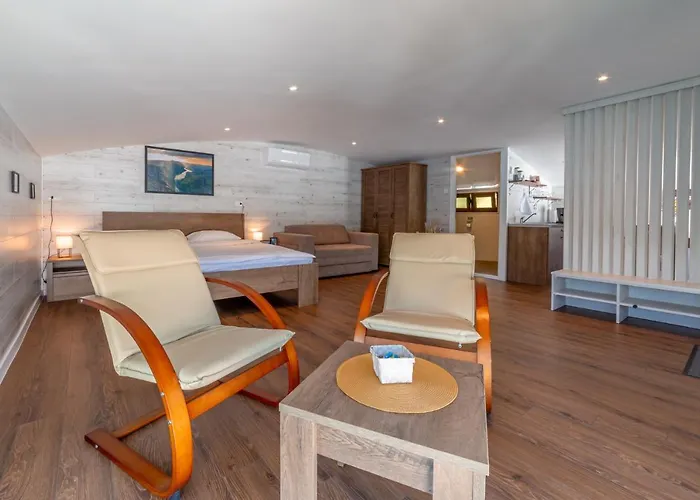 Splav-apartman Grizzly